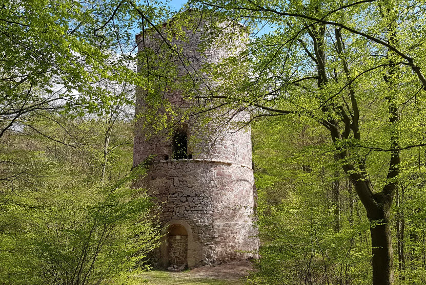 Burgruine Neuhausen, Germany